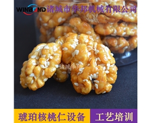 蜂蜜琥珀核桃設備 全套琥珀核桃仁設備廠家 山東華邦